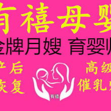 家政服務(wù) 提升生活品質(zhì)的智慧選擇